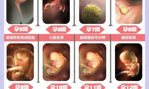 生豌豆粒的吃法网- 生豌豆怎么做好吃知识,分享生豌豆粒最简单做法